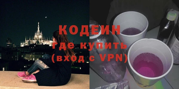 индика Баксан