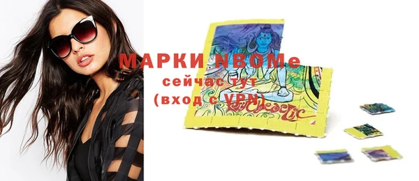 индика Баксан