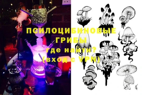индика Баксан