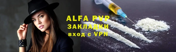 индика Баксан