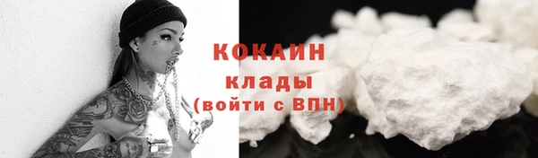 индика Баксан