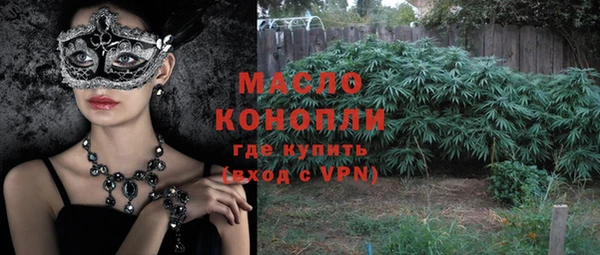 индика Баксан