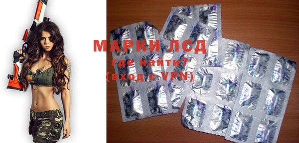 индика Баксан