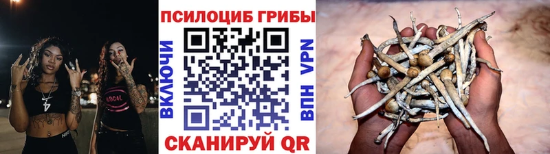 Купить где  Верхнеуральск  Галлюциногенные грибы MAGIC MUSHROOMS 
